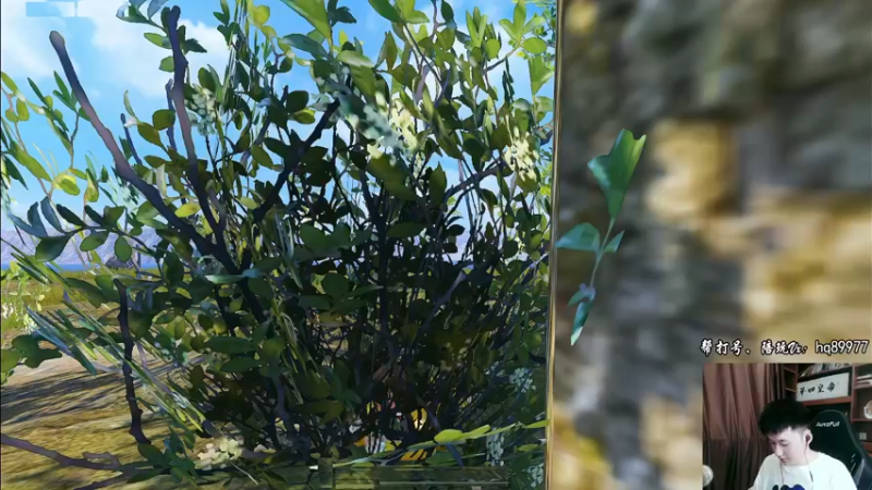 【2022-10-21 11点场】Dy合群：【1喂4】不强请举报！