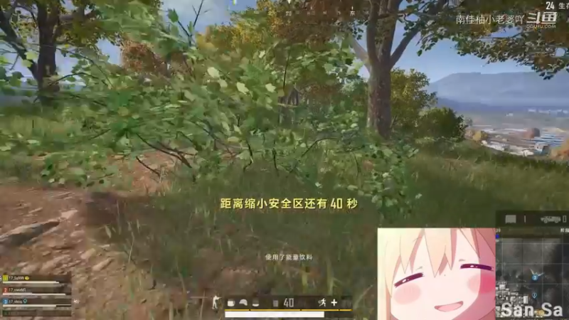 吃鸡游戏视频15