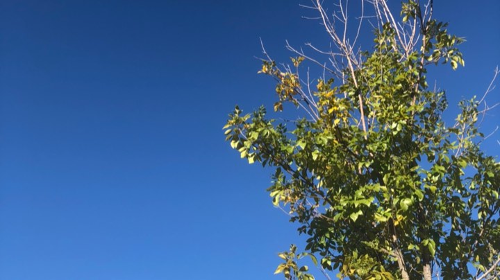 蓝蓝的天空