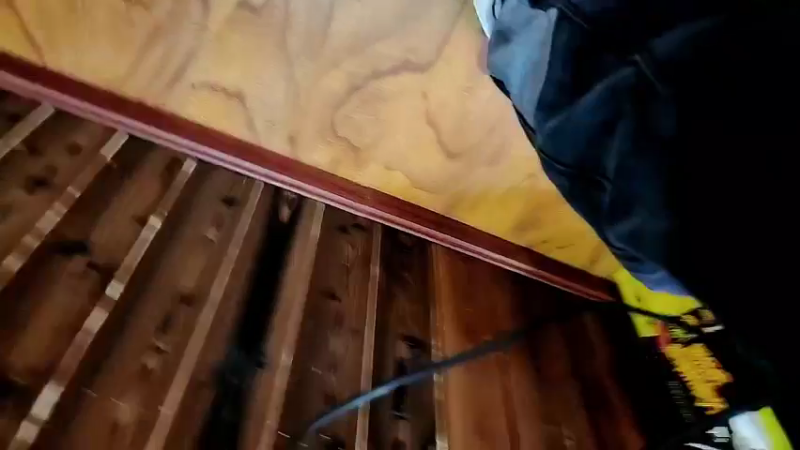 【2022-10-21 09点场】洪湖小肖：鱼生有圆，娜是爱琴Day4