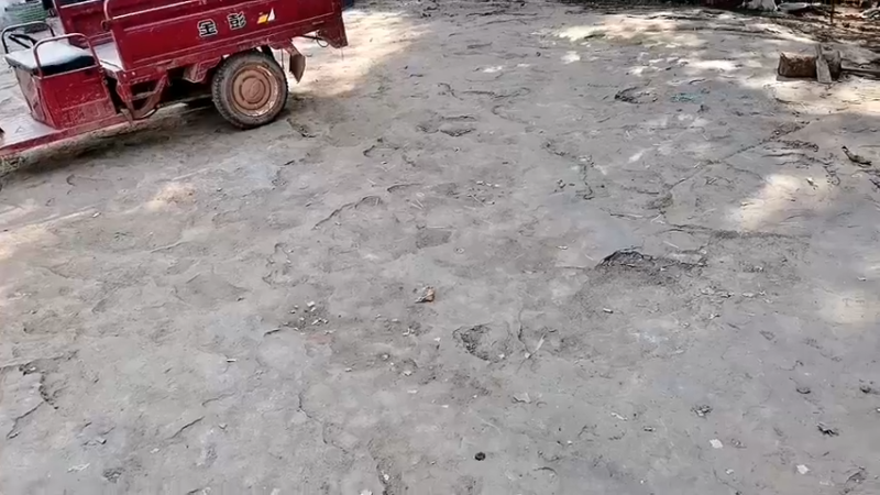 【2022-10-21 10点场】川味箩卜：上午十点半～