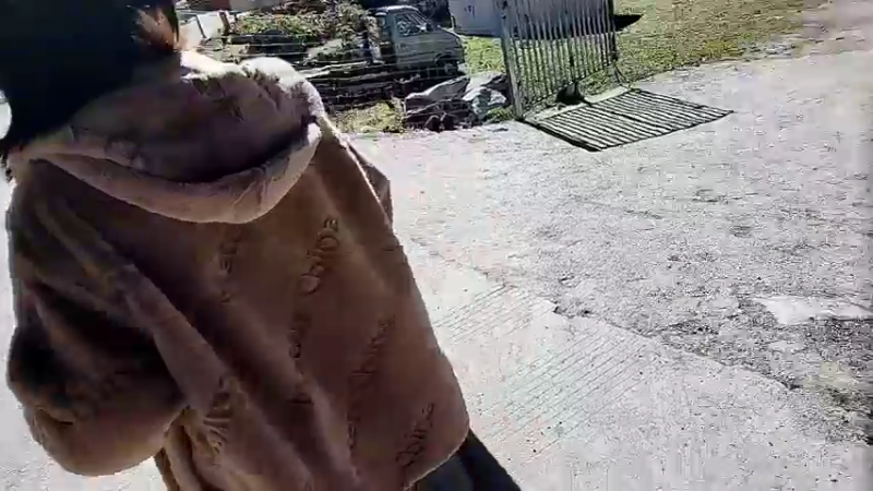 【2022-10-21 10点场】洪湖小肖：鱼生有圆，娜是爱琴Day4