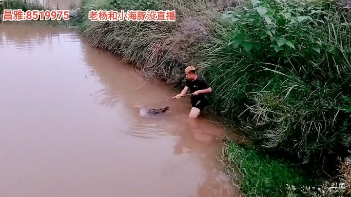 浩哥在河里发现了一个东西，叫周公子下去看