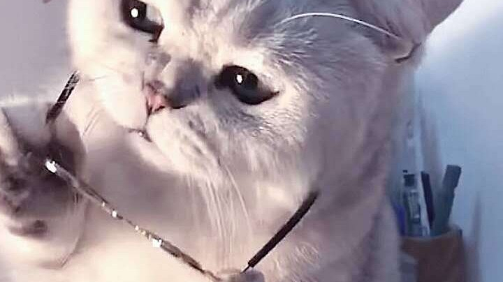 有电话，有点事