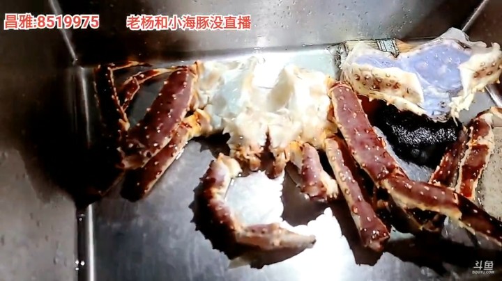 浩哥今晚做帝王蟹给美女吃，还有回锅肉，美滋滋啊