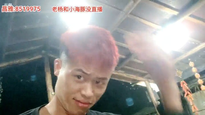 浩哥演示进狗窝里如何隐藏自己不被发现的
