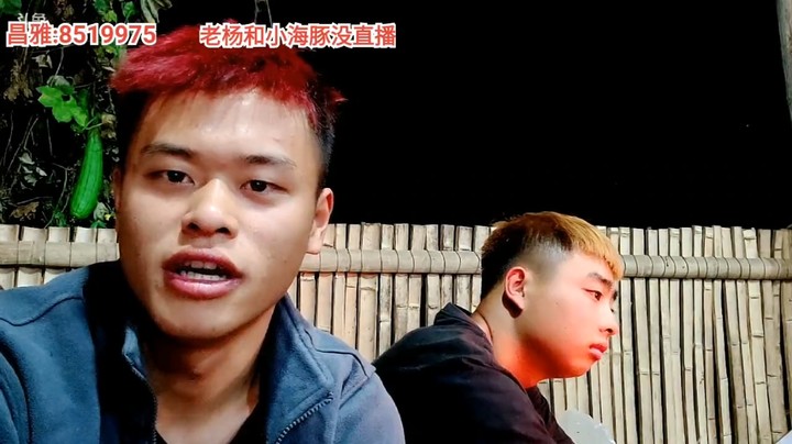 浩哥正愁野王节目没女嘉宾，呆妹主动把曼瑶送上门，这太好了啊