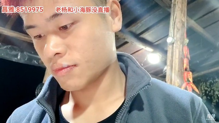 大哥说直播间没弹幕，浩哥说你送飞机就有了