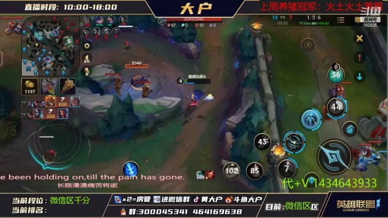 【2022-10-22 16点场】大户呀：这周国1露露加国1风女！