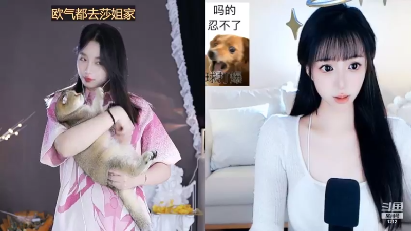 【2022-10-23 15点场】小肉球阿：爱笑的女孩运气不会差~~