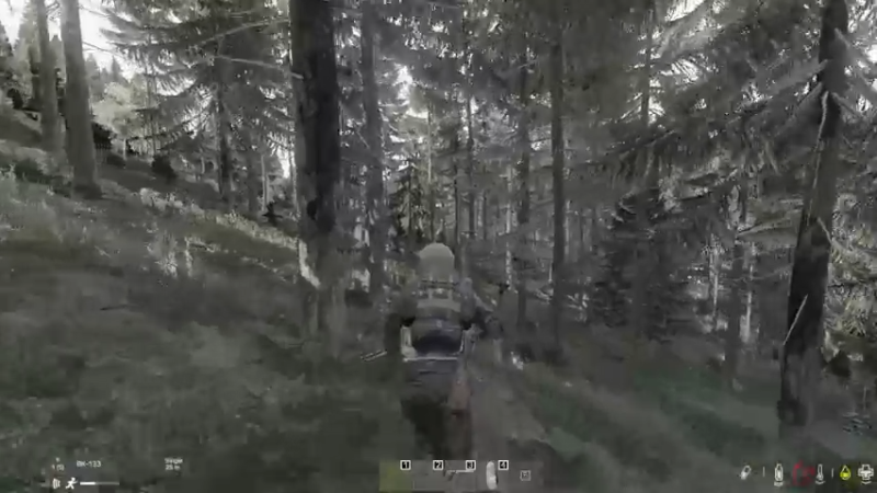 【2022-10-24 19点场】dayz韩爱东西：1.19新版本初体验