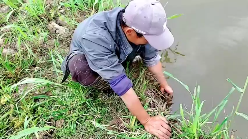 【2022-10-24 14点场】洪湖小肖：稻城返成都，今天燕窝台