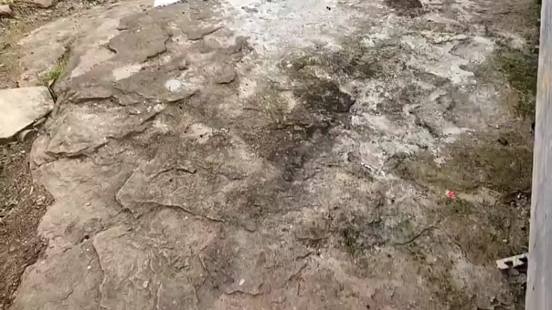 【2022-10-24 10点场】川味箩卜：上午十一点