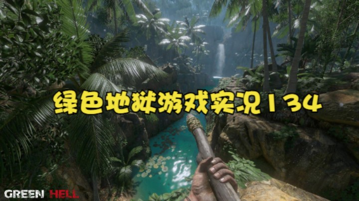 绿色地狱游戏实况134
