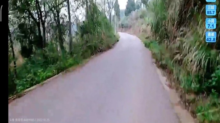 周公子搞笑还是可以的，思域哥都乐了