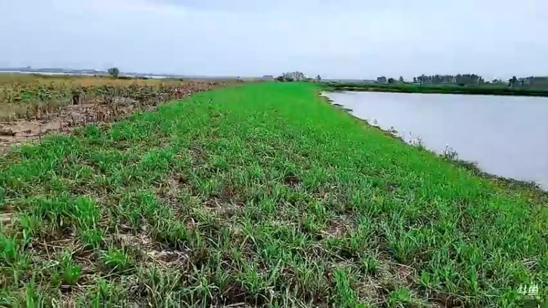 【2022-10-25 13点场】洪湖小肖：稻城返成都，今天燕窝台