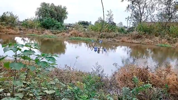 大强哥在鱼塘准备抓鱼啊