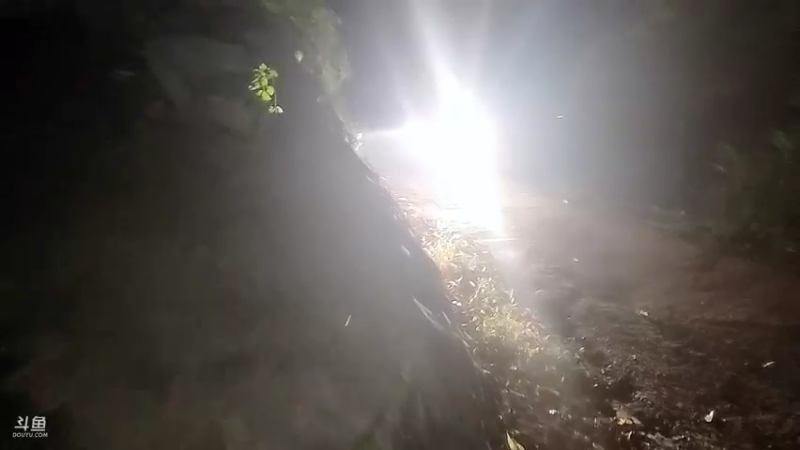 【2022-10-25 19点场】川味箩卜：[重庆·潼南]二狗的快乐生活~