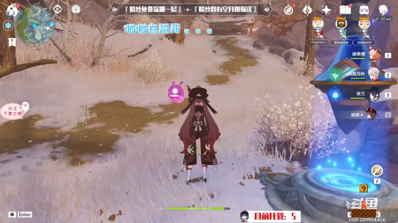 【2022-10-25 16点场】卡佬GTX1080tiPrime：『补星神猫』你的护肝小助手