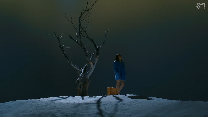 【一起看】Sone少女时代的精彩时刻 20221026 21点场
