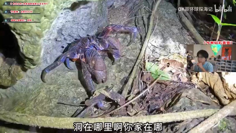 【2022-10-26 17点场】imxiaoxin：【✘-✘】开播！