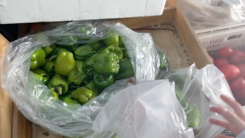 【英雄联盟】不2不叫周淑怡的精彩时刻 20221026 09点场