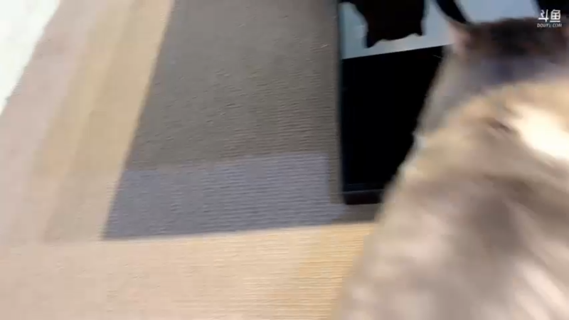 【2022-10-27 15点场】DYG萧玦：巅峰赛冲冲冲冲