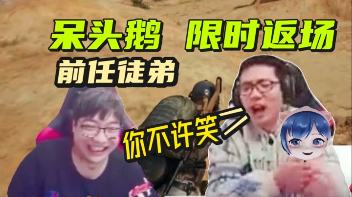 呆头鹅限时返场