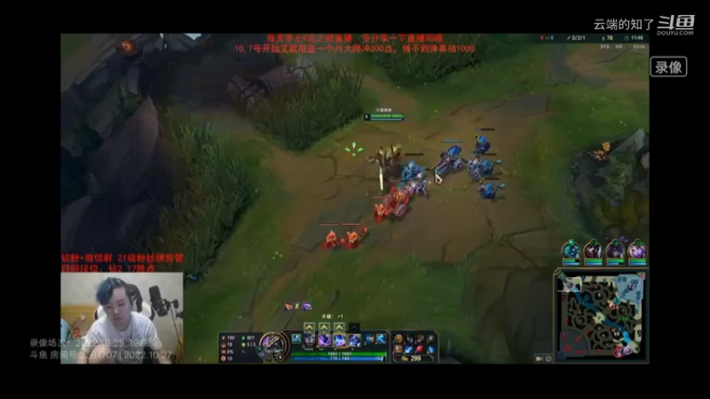 顺飞牌狗头10