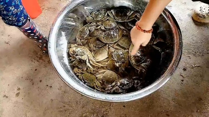 让大闸蟹喝酒然后清蒸，噜妈感觉有意思啊