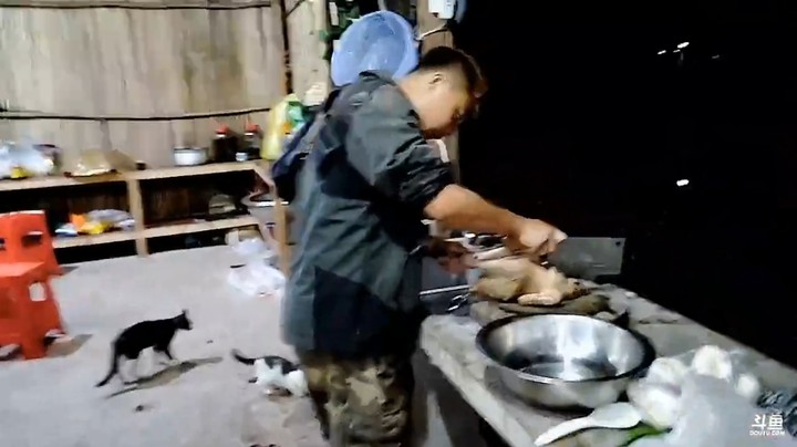 三娃让周公子学习处理鸡，多学就会了啊