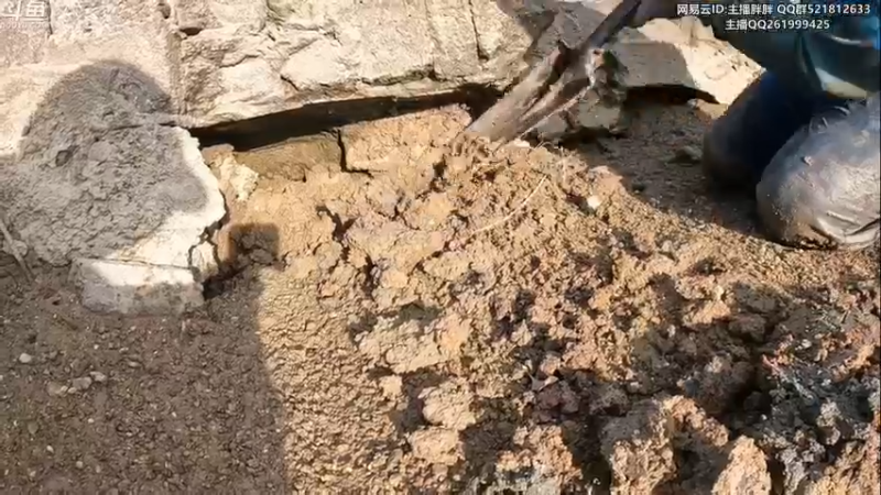 【2022-10-28 02点场】胖胖灬：胖胖OB：JD 美服Rank训练