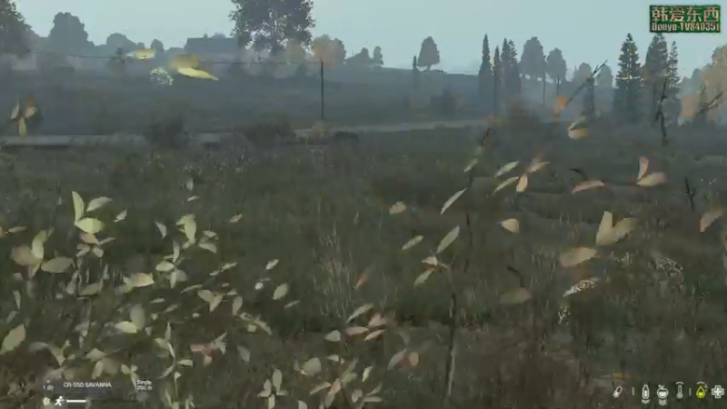 【2022-10-28 21点场】dayz韩爱东西：1.19新版本初体验