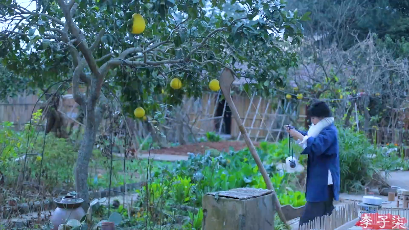 【美食】李子柒liziqi的精彩时刻 20221028 13点场