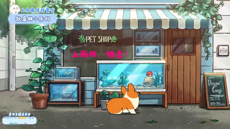 【2022-10-27 23点场】就是崔崔阿：【小奶团】祝团皇生日快乐~