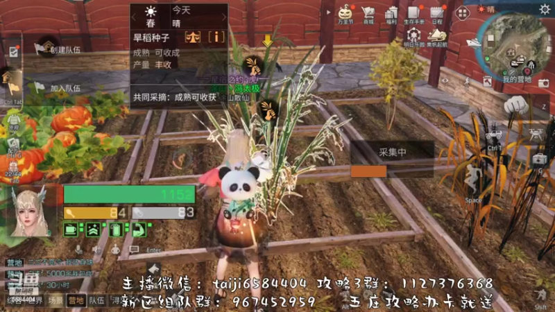 【2022-10-28 14点场】中华田园冯太极：果壳岛<涂山散仙>营地收人