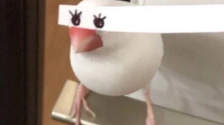 嗨