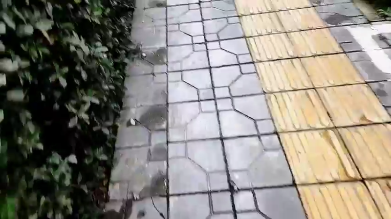 【2022-10-29 14点场】洪湖小肖：15点半左右上线