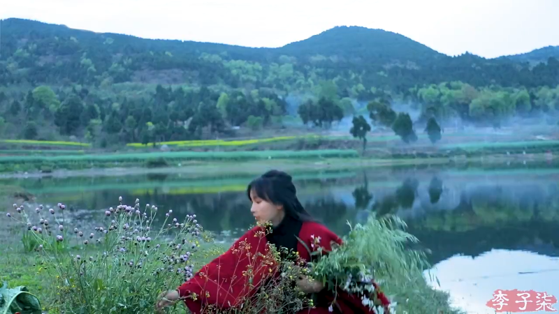 【美食】李子柒liziqi的精彩时刻 20221029 10点场