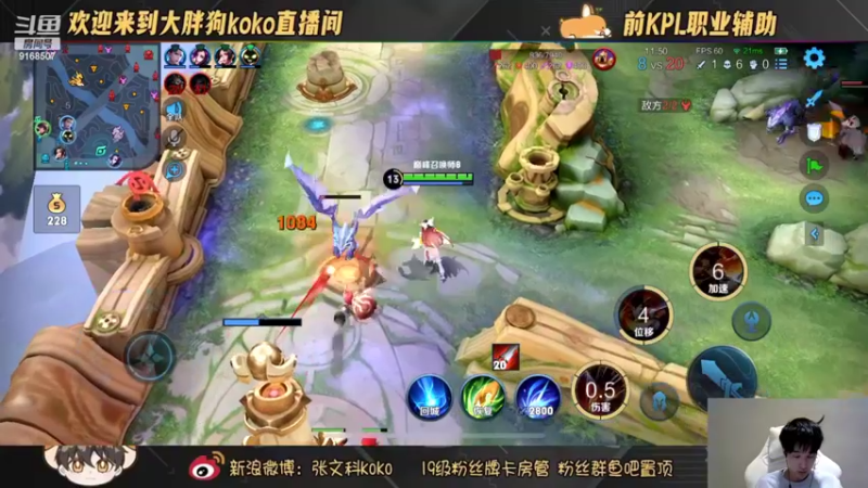 【2022-10-30 16点场】大胖狗koko：越努力就越心酸