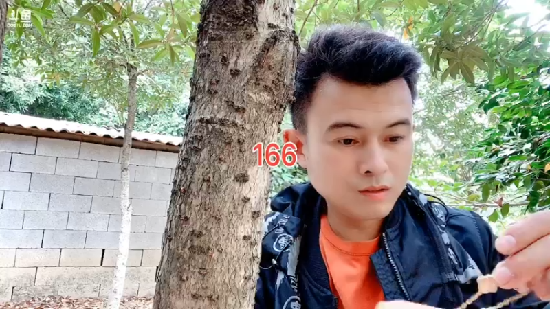 【2022-10-30 12点场】顾北宁：稳住！撑出桂花塘！