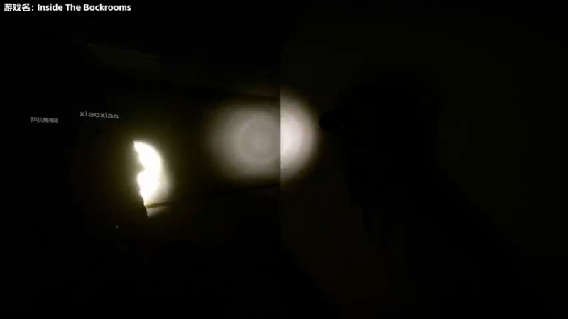 【2022-10-27 20点场】肖像画啊：后室新章节！