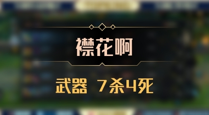 【襟花啊】武器 7杀4死