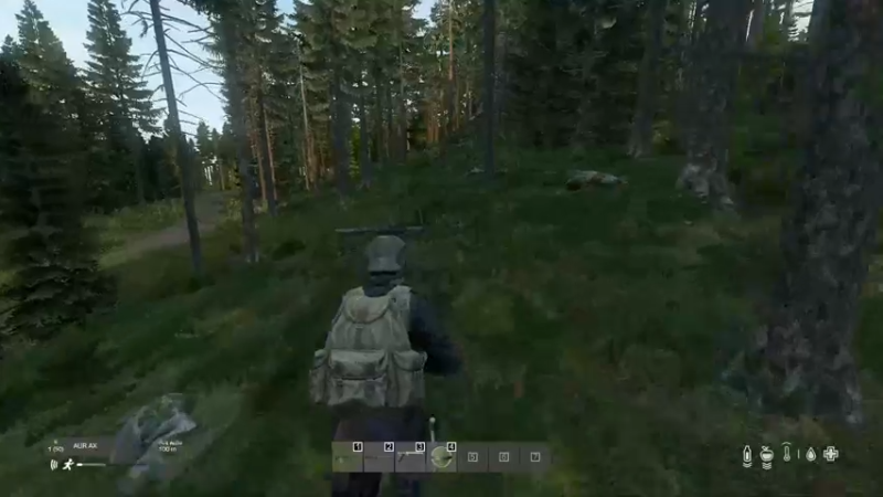 【2022-10-30 14点场】dayz韩爱东西：1.19新版本初体验