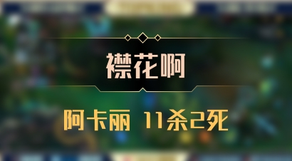 【襟花啊】阿卡丽 11杀2死