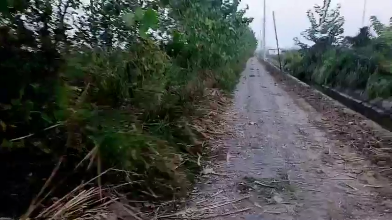 【2022-10-31 17点场】洪湖小肖：19点上线，稍安勿躁