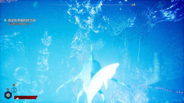 P9绿豆鲨VS顶级大白鲨