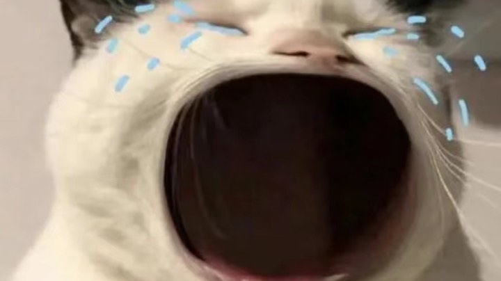 随便玩玩