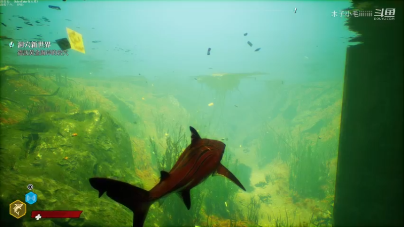 P5绿豆鲨进餐时间