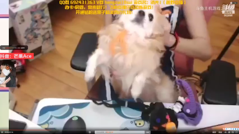 【2022-10-31 20点场】芒果Ace：胆小勿进 恐怖游戏！